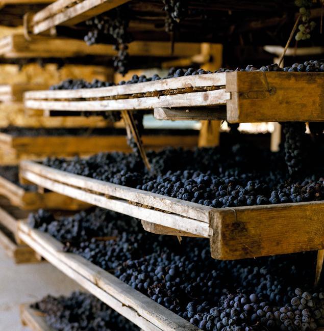 Aldegheri AMARONE DELLA VALPOLICELLA CLASSICO SANTAMBROGIO 2017