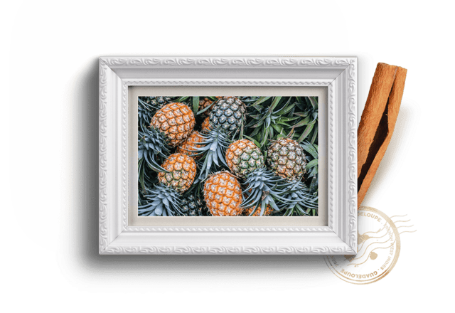 Damoiseau Les Arrangés Rhum Victoria Ananas 30% 70cl.