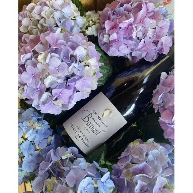 CHAMPAGNE BLANC DE BLANCS PREMIER CRU